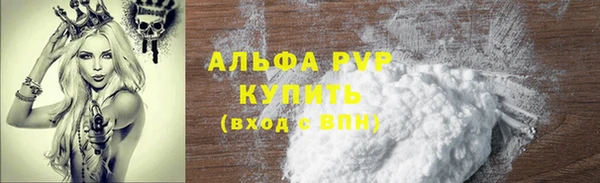 индика Каменка