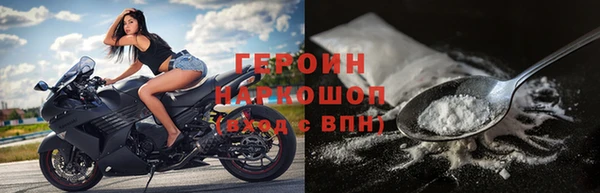 индика Каменка