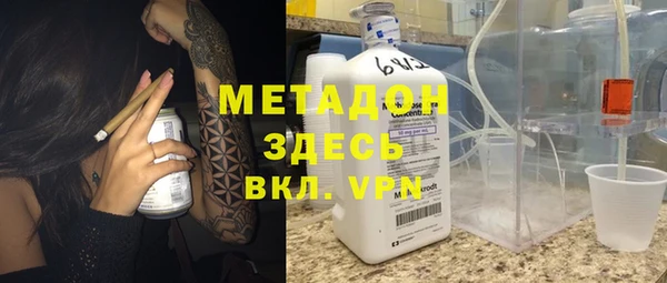 индика Каменка