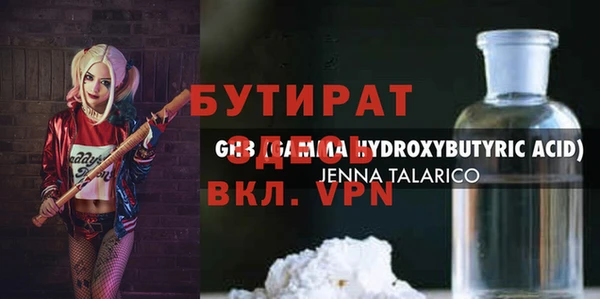 индика Каменка