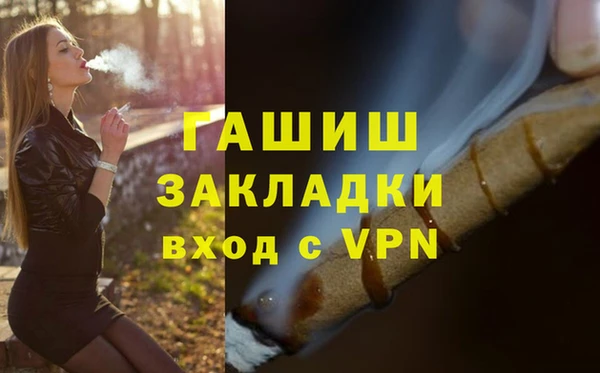 индика Каменка