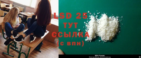 индика Каменка
