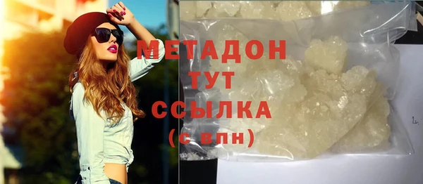 индика Каменка