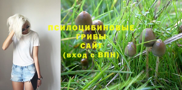 соль ск Каменск-Шахтинский