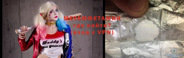 индика Каменка
