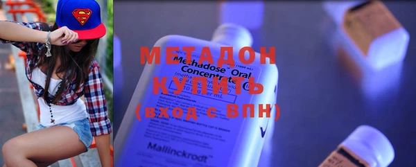 индика Каменка