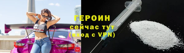 индика Каменка