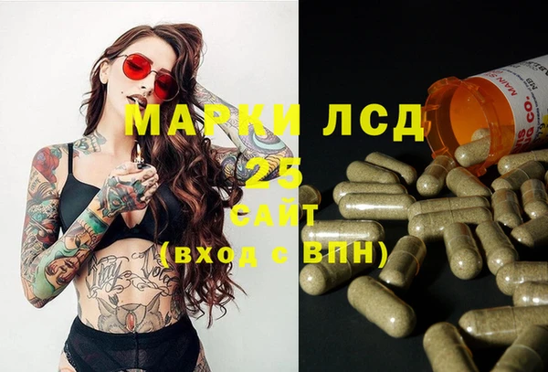 индика Каменка