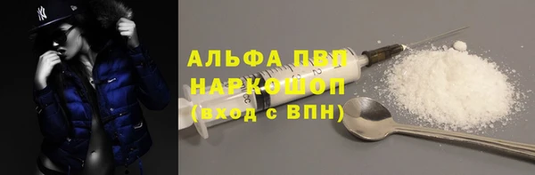 индика Каменка