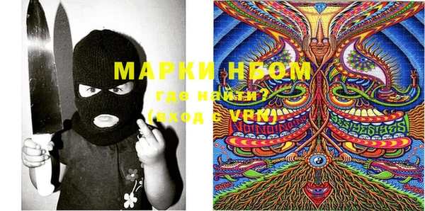 индика Каменка