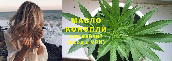 индика Каменка