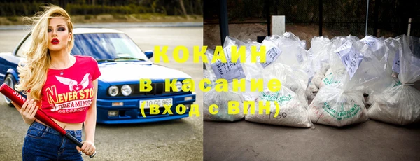 индика Каменка