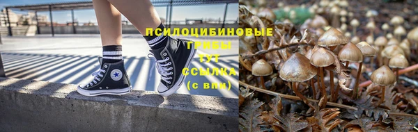 2c-b Каменногорск