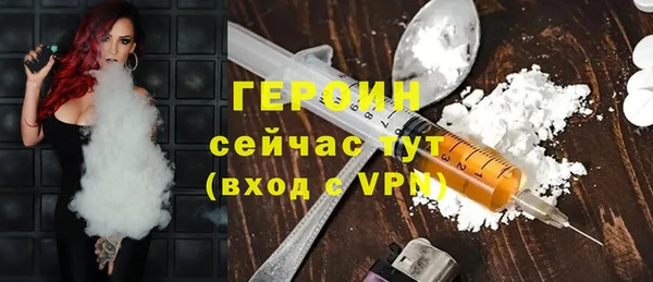 индика Каменка