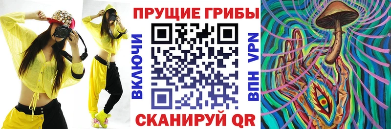 Галлюциногенные грибы мицелий  Купить закладки  Донской 